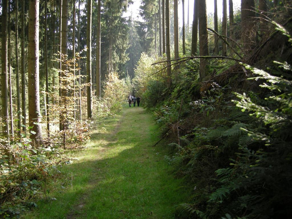 Gasthaus-Pension Islekhohe Gansen Krautscheid Экстерьер фото